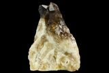 Citrine Quartz Crystal Cluster - Lwena, Congo #128417-2